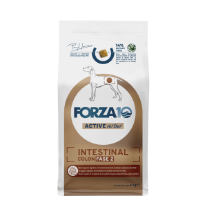 Forza10 Intestinal Colon Active 2. fāze sausā barība suņiem 4kg